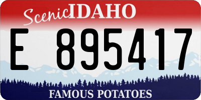 ID license plate E895417