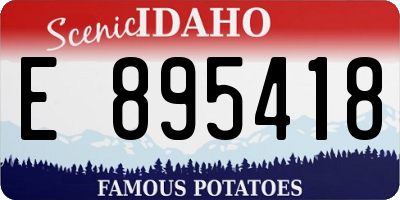 ID license plate E895418