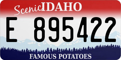 ID license plate E895422