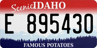 ID license plate E895430
