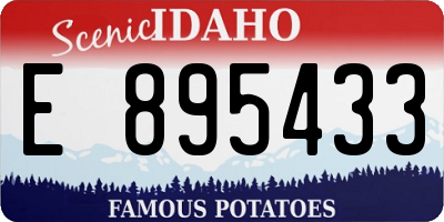 ID license plate E895433