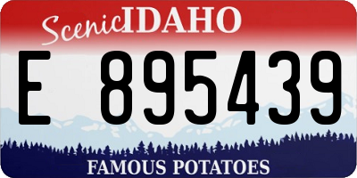ID license plate E895439