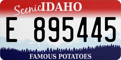 ID license plate E895445