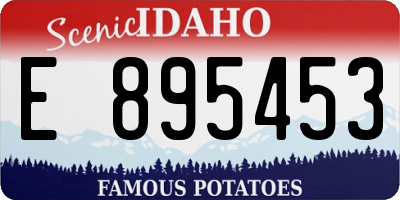 ID license plate E895453