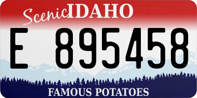 ID license plate E895458