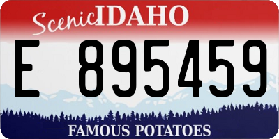 ID license plate E895459