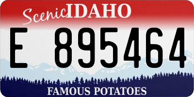 ID license plate E895464