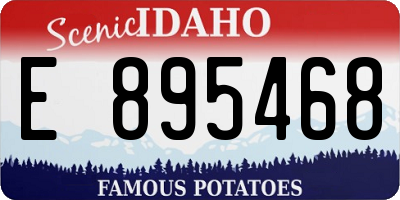 ID license plate E895468