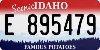 ID license plate E895479