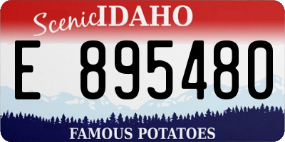 ID license plate E895480