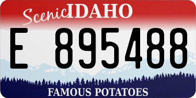 ID license plate E895488