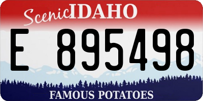 ID license plate E895498