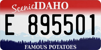ID license plate E895501