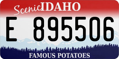 ID license plate E895506