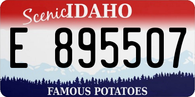 ID license plate E895507