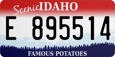 ID license plate E895514