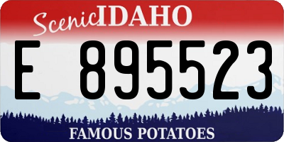 ID license plate E895523