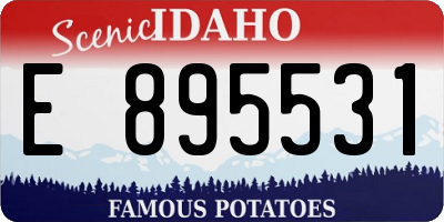 ID license plate E895531