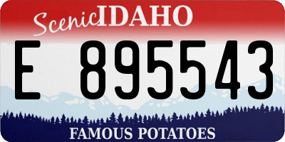 ID license plate E895543