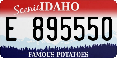 ID license plate E895550