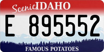ID license plate E895552