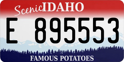 ID license plate E895553