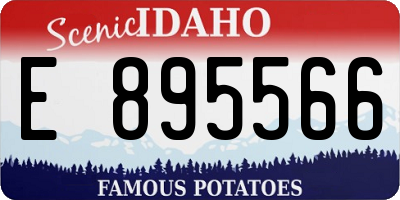 ID license plate E895566