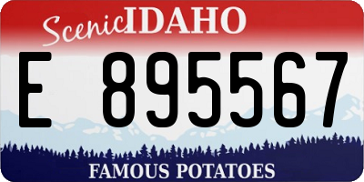 ID license plate E895567