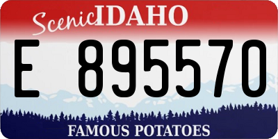 ID license plate E895570