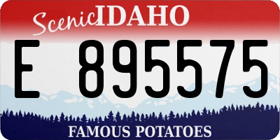 ID license plate E895575