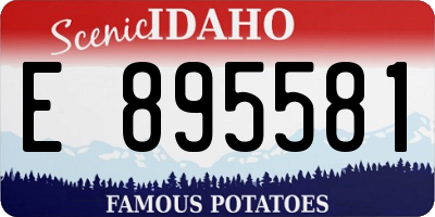 ID license plate E895581