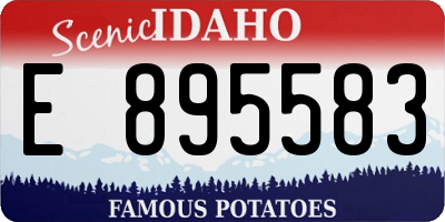 ID license plate E895583