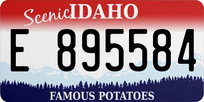 ID license plate E895584