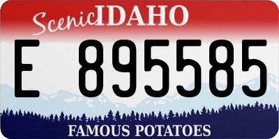 ID license plate E895585