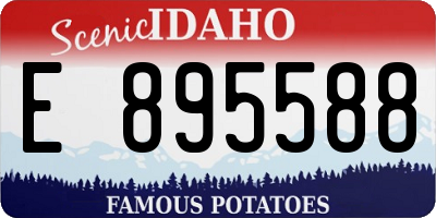 ID license plate E895588