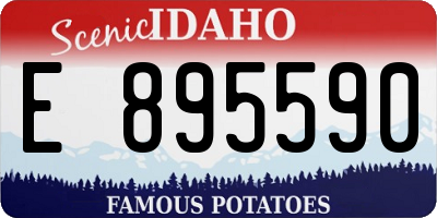 ID license plate E895590