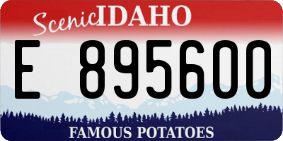 ID license plate E895600