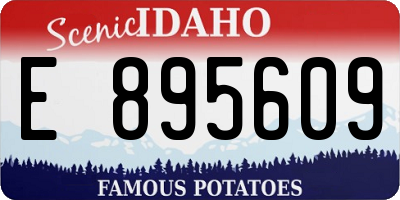 ID license plate E895609