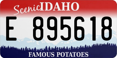 ID license plate E895618