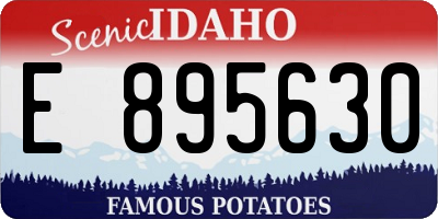 ID license plate E895630