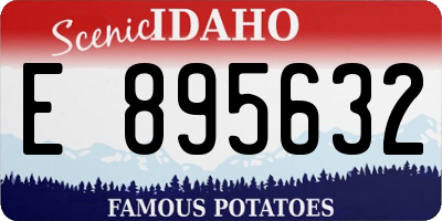 ID license plate E895632