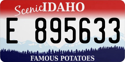 ID license plate E895633