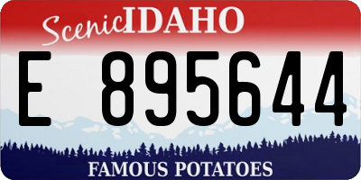 ID license plate E895644