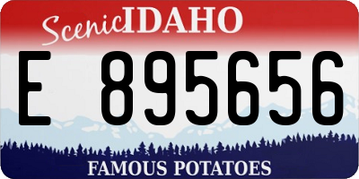 ID license plate E895656