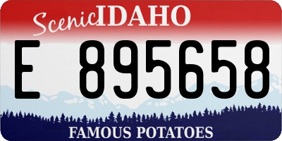 ID license plate E895658