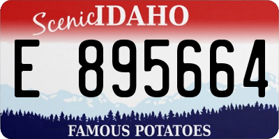 ID license plate E895664