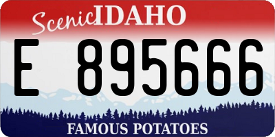 ID license plate E895666