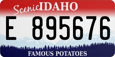 ID license plate E895676