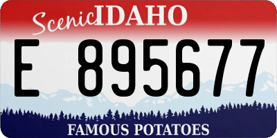 ID license plate E895677