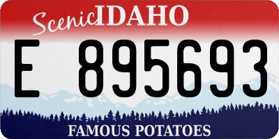 ID license plate E895693